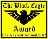 The Black Eagle Award